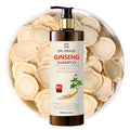 Hair Shampoo